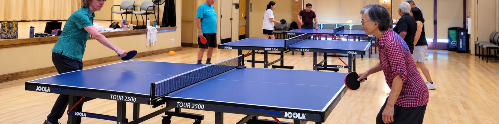 Ping Pong