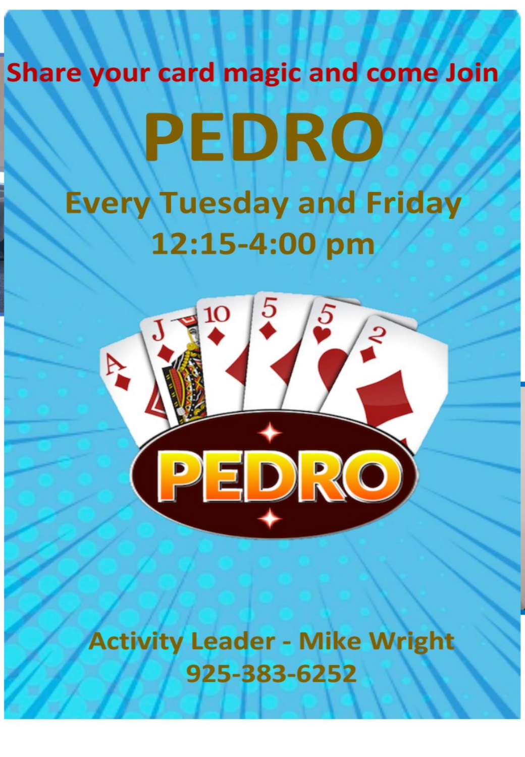 Pedro activity poster